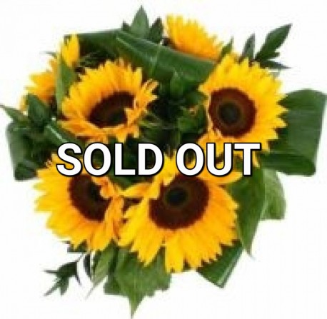 SOLD OUT - Simply Sunflowers